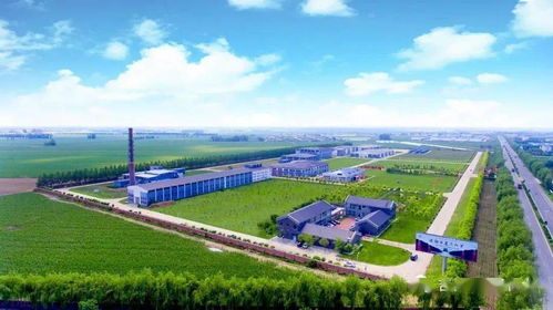 榆樹錢揭牌成立中國(guó)北方白酒新技術(shù)與新產(chǎn)品聯(lián)合研發(fā)中心，引領(lǐng)技術(shù)開發(fā)新篇章